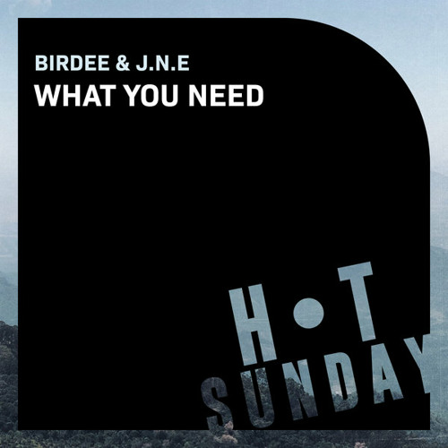 What You Need (Extended Mix)