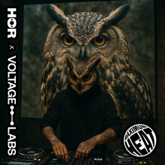 HÖR x Voltage Labs - Maximum Heat submission
