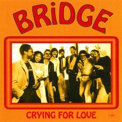Bridge - Turn to Love (Mark Wayward Edit)