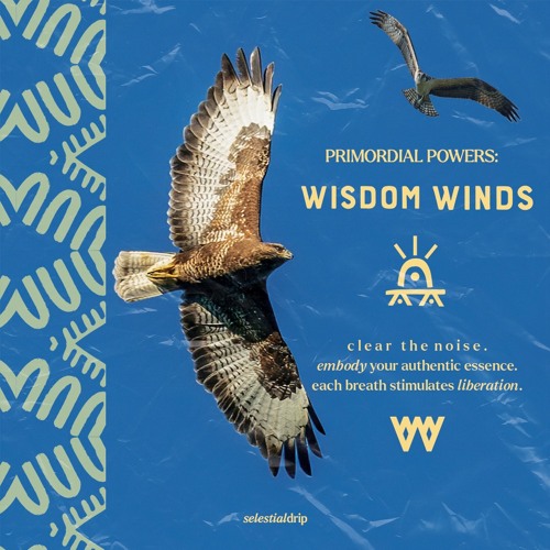 Wisdom Winds Medi [prod. by Delfin]