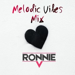 Melodic Vibes Mix 2