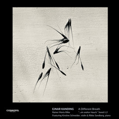 A BREATH IN THE VOID: VI. A different breath