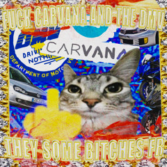 Fuck Carvana and The DMV (They Some Bitches FR)