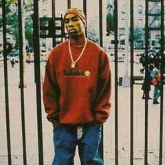 BIG L - The Big Picture Intro (Cxldxne Flip)