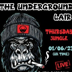 The Underground Lair - Warpedcore - 1991 Oldskool - 01 - 06 - 23