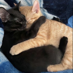 Destined to nothingness sped up