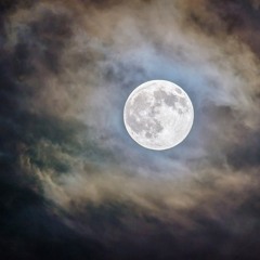 The Beat Brother - The Jungle Moon Remaked