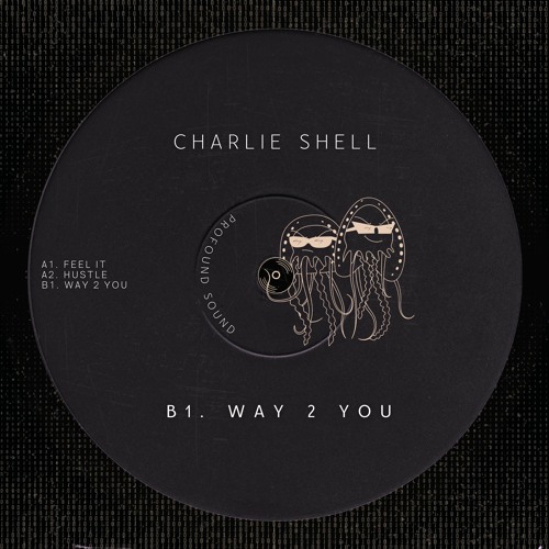 [BANDCAMP] Charlie Shell - Way 2 You