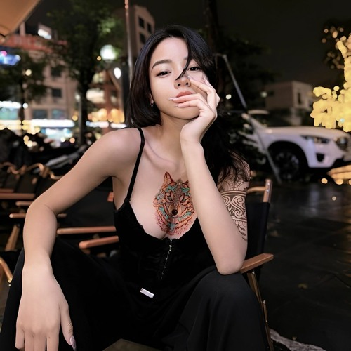 LỪA DỐI (Diệp Lý) -  TVT REMIX