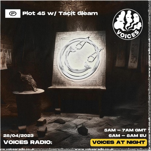 Plot 45 w/ Tacit Gleam on Voices Radio — 28th April 2023