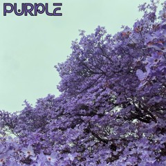PURPLE - THREE TOED