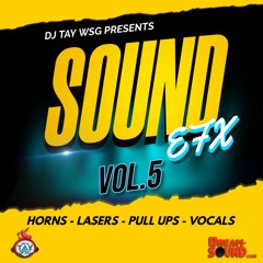 DJ TAY WSG - SOUND EFX VOL.5 2024 (AUDIO PREVIEW)