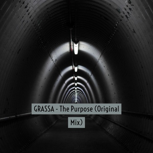 The Purpose (Original Mix)