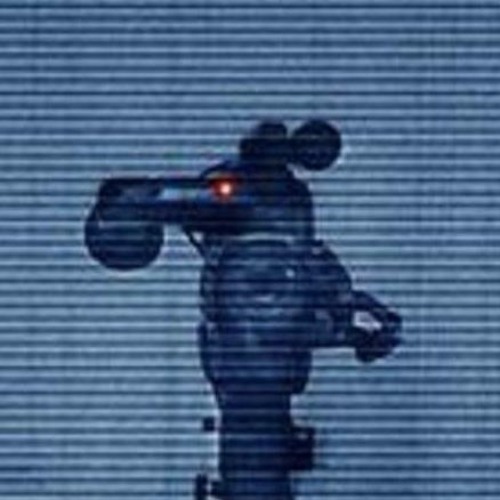 the camera