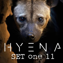 HYENA (SET ONE 11)