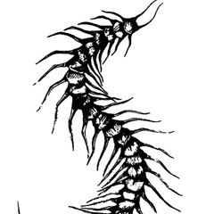 It crawls