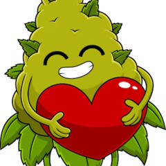 i <3 my cogo