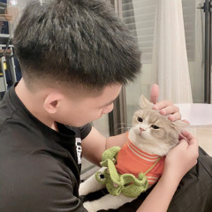 (Tiktok) STAY x THỜI GIAN SẼ TRẢ LỜI REMIX - BELINH