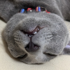 Sea Breeze(Prod.Toni Gin)