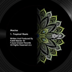 Tropical Roots (original Mix) [FTG337]