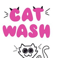 Cat Wash (Main Theme)