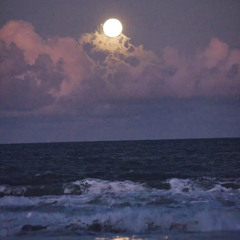 Polynomial Seas