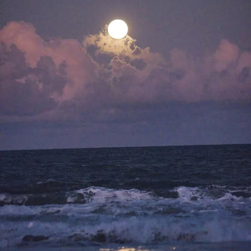 Polynomial Seas