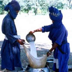 ਕਟੋਰੇ ਵਿੱਚ ਦੁੱਧ ਪਾ ਲਿਆ - ਨਾਨਕੁਸਰ ਸਰੀ ਬੀਸੀ