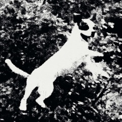 DC Promo Tracks: Edmondson "Frutiger Aero"