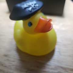 TheEpicDuck - Disgustang Finally Super Stinks Song