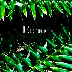 Echo