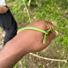 kissescocoa (prod. sonni)