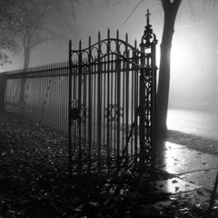 Jessy Rose - Forest Gate