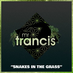 Mr. Trancis - Snakes In The Grass [2020]