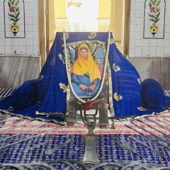 ਪਿਆਰੇ ਜੀ! ਮਾਤਾ ਯਾਦ ਨਾ ਰੱਖਦੀ ਅਵਗੁਣ ਪੁਤਰਾਂ ਦੇ - Bhai Gurpartap Singh Ji (Indianapolis)