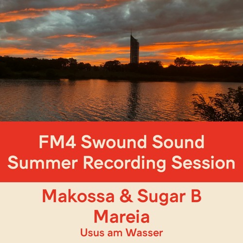 FM4 Swound Sound #1355