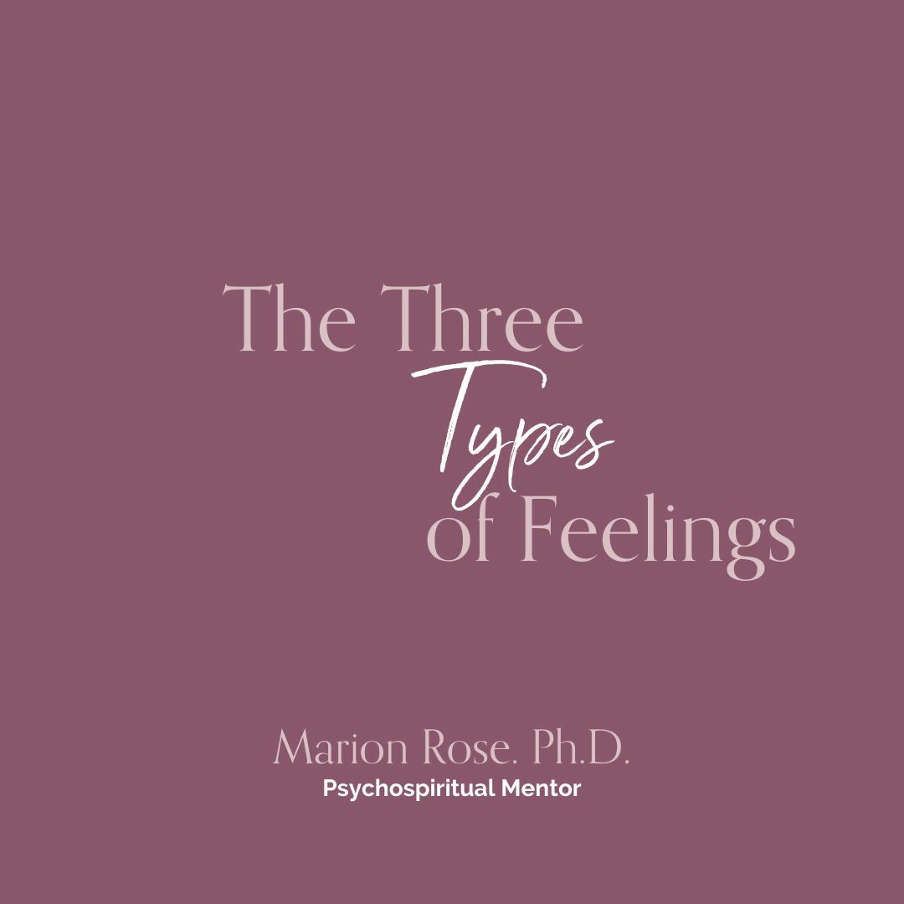 The Three Types of Feelings