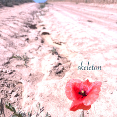 Skeleton