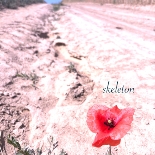 Skeleton