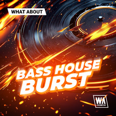Bass House Burst | Malaa / Tchami Style Serum Presets & Melodies