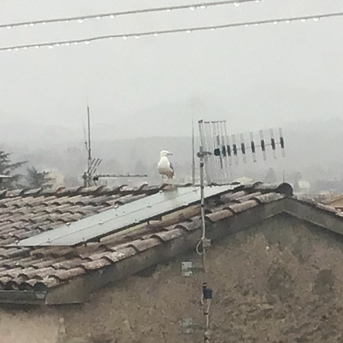 It Is A Good Day To Fly