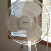 下载视频: Fan