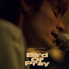 Bird of Pray (Acoustic Version)