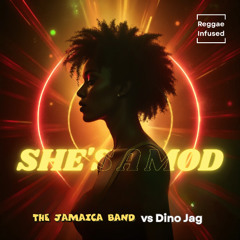 She's Hot She's Got The Lot - Reggae EDM Radio Edit