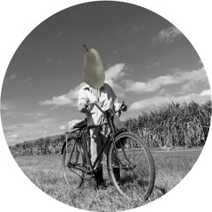 Guille Placencia - Sip The Juice (Original Mix)