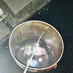 начинаем плодиться