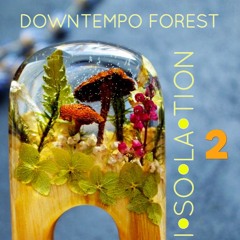 Downtempo Forest Isolation 2  July 31, 2020