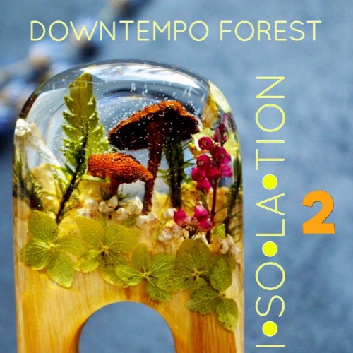 Downtempo Forest Isolation 2  July 31, 2020