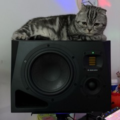 뚤기띠 이름 머로 할까여