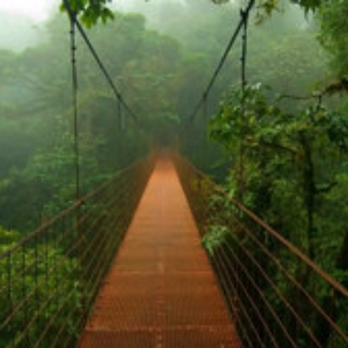 Liquid Drum and Bass Mix 2024